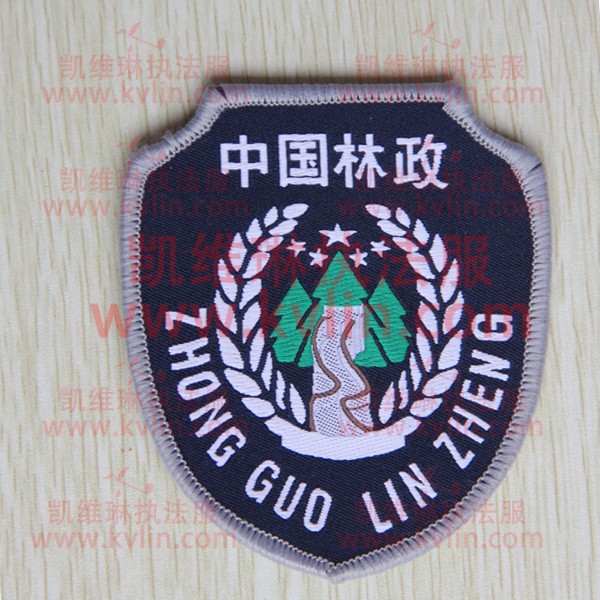 中国林政臂章